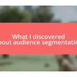 What I discovered about audience segmentation